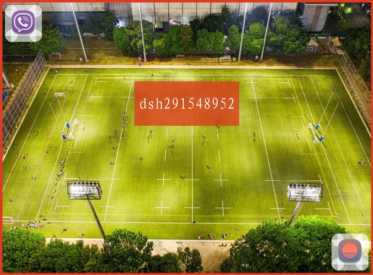 dsh291548952